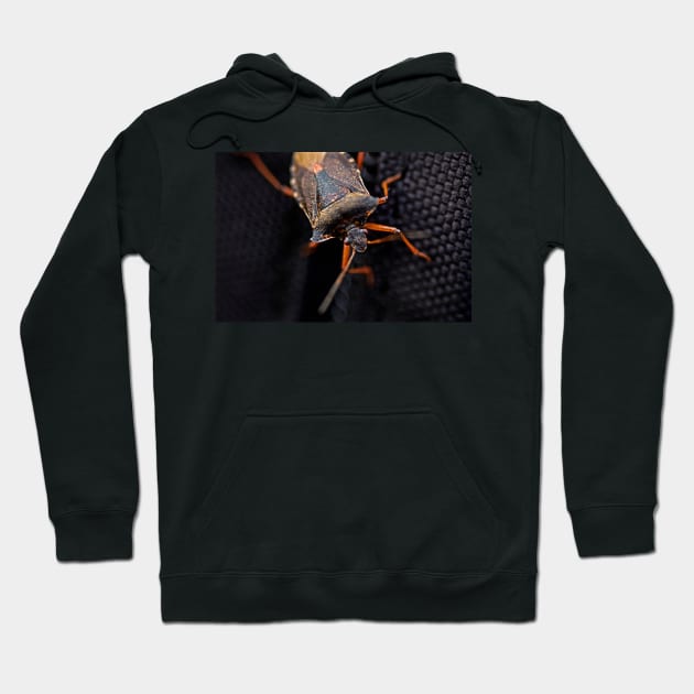 THE HITCHHIKER FOREST SHIELDBUG Hoodie by dumbodancer